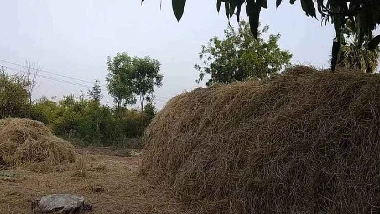 AP News: పైకి చూసి గడ్డి వాము అనుకునేరు.. లోపలకెళ్లి చూడగా మైండ్ బ్లాంక్.!