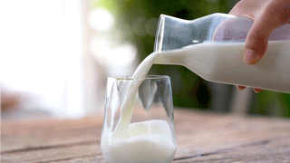 Telangana: బైక్‌ను ఢీకొన్న నటుడు రఘుబాబు కారు.. BRS నేత మృతి… వీడియో