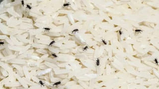 Uric Acid: యూరిక్ యాసిడ్ సమస్య వేధిస్తుందా..? ఈ ఆకులు నమిలితే పరార్