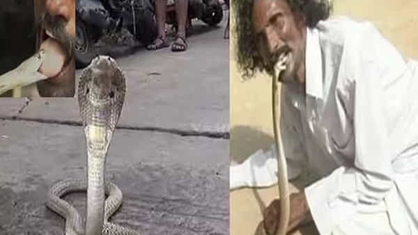 AP News: బ్రాందీ కొనే స్థోమత లేదు.. అందుకే పాము విషం తాగుతున్నాడు.. అంతేకాదు..