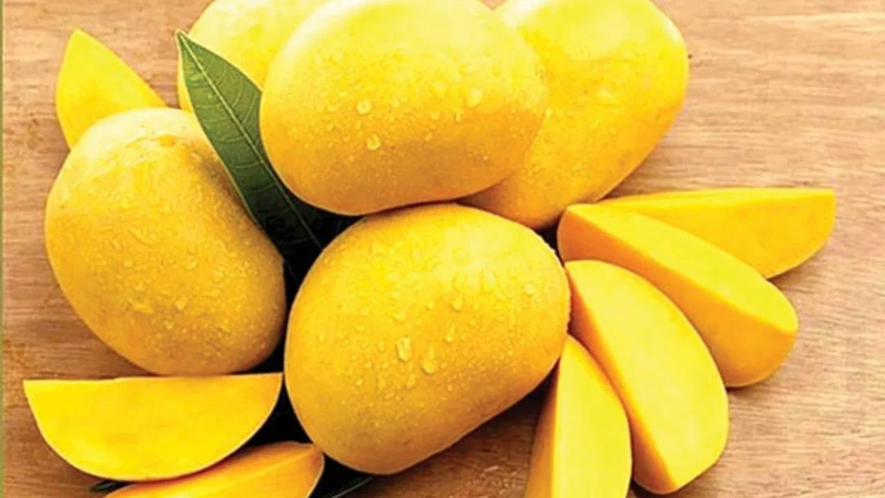 వేసవి అంటేనే మామిడి పండ్ల సీజన్.. పండ్లలో రారాజు మామిడిపండును ఇష్టపడని వారంటూ ఉండరు.. మామిడి పండ్ల రుచి కోసం చాలా మంది వేసవి కాలం కోసం ఎదురుచూస్తుంటారు. వేసవి సీజన్ లో దొరికే చాలా పండ్లు ఉన్నప్పటికీ.. మామిడి పండులో ఉండే మజానే వేరు. మామిడి పండ్లు మార్కెట్ లేదా తోటల నుంచి విక్రయిస్తారు. మామిడి పండ్లను కొందరు నేరుగా తింటే.. మరికొందరు రసాన్ని తీసి తాగుతారు. ఇంకా, మామిడి కారం, ఆవకాయ, పలు కూరల్లో ఈ పండను ఉపయోగిస్తారు..