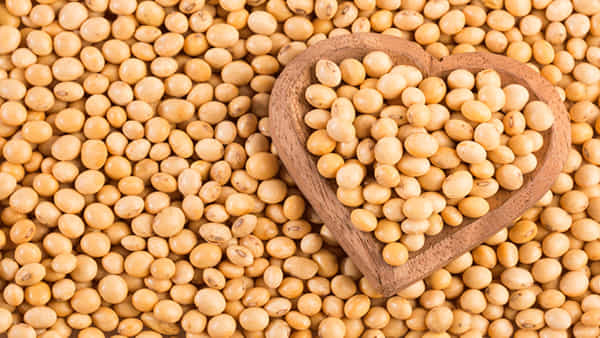 Soya Beans: సోయాబీన్స్తో బోలేడన్నీ లాభాలు..! ఆడవారిలో వచ్చే ఈ సమస్యలకు చెక్ పెడుతుంది..!