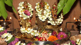 Telangana: అమ్మ బాబోయ్.. ఎంత ధైర్యం..! కరిచిన పాముతో సహా చికిత్సకోసం ఆస్పత్రికి వెళ్లిన మహిళ