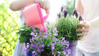 Depression and Suicide: డిప్రెషన్ చివరి దశ ఏమిటి? ఎందుకు ఆత్మహత్య ఆలోచన చేస్తాడో తెలుసా