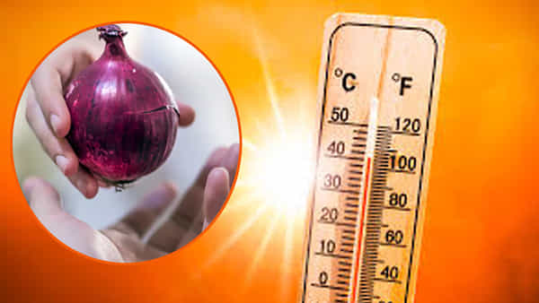 Heat Stroke: జేబులో పచ్చి ఉల్లిపాయ పెట్టుకుంటే వడదెబ్బ తగలదా..? అసలు నిజం ఏంటో తెలుసుకోండి..