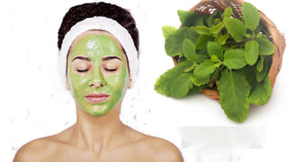 Beauty Tips: ఈ ఆకులను సంజీవనిగా చెప్పోచ్చు.. తరుచూ వాడితే పసిడివండి యవ్వనం మీ సొంతం..