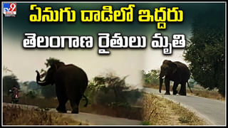 Leopard Viral Video: సాహసమంటే ఇది.! ఆయుధం లేకుండానే చిరుతతో పోరాటం.!