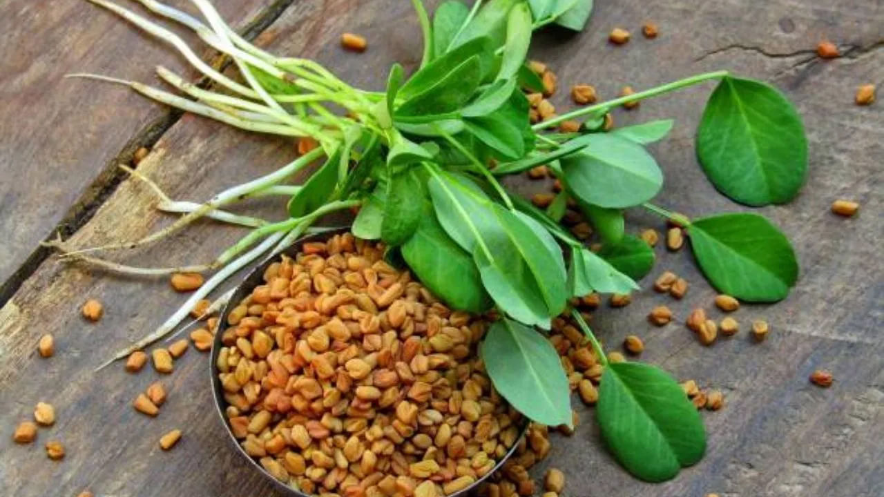 ఇన్సులిన్ పనితీరును మెరుగుపరచడానికి మెంతులు తినవచ్చు. నీళ్లలో నానబెట్టిన మెంతి గింజలు తింటే జీవక్రియ రేటు పెంచుతుంది. రక్తంలో చక్కెర స్థాయిలు కూడా అదుపులో ఉంటాయి. మధుమేహ వ్యాధిగ్రస్తులు మెంతికూర తినడం వల్ల బరువు కూడా అదుపులో ఉంటుంది. అలాగే ఉదయాన్నే ఖాళీ కడుపుతో కాకరకాయ రసాన్ని తీసుకోవడం వల్ల రక్తంలోని టాక్సిన్స్ తొలగిపోతాయి. అలాగే రక్తంలో చక్కెర స్థాయిలు అదుపులో ఉంటాయి.