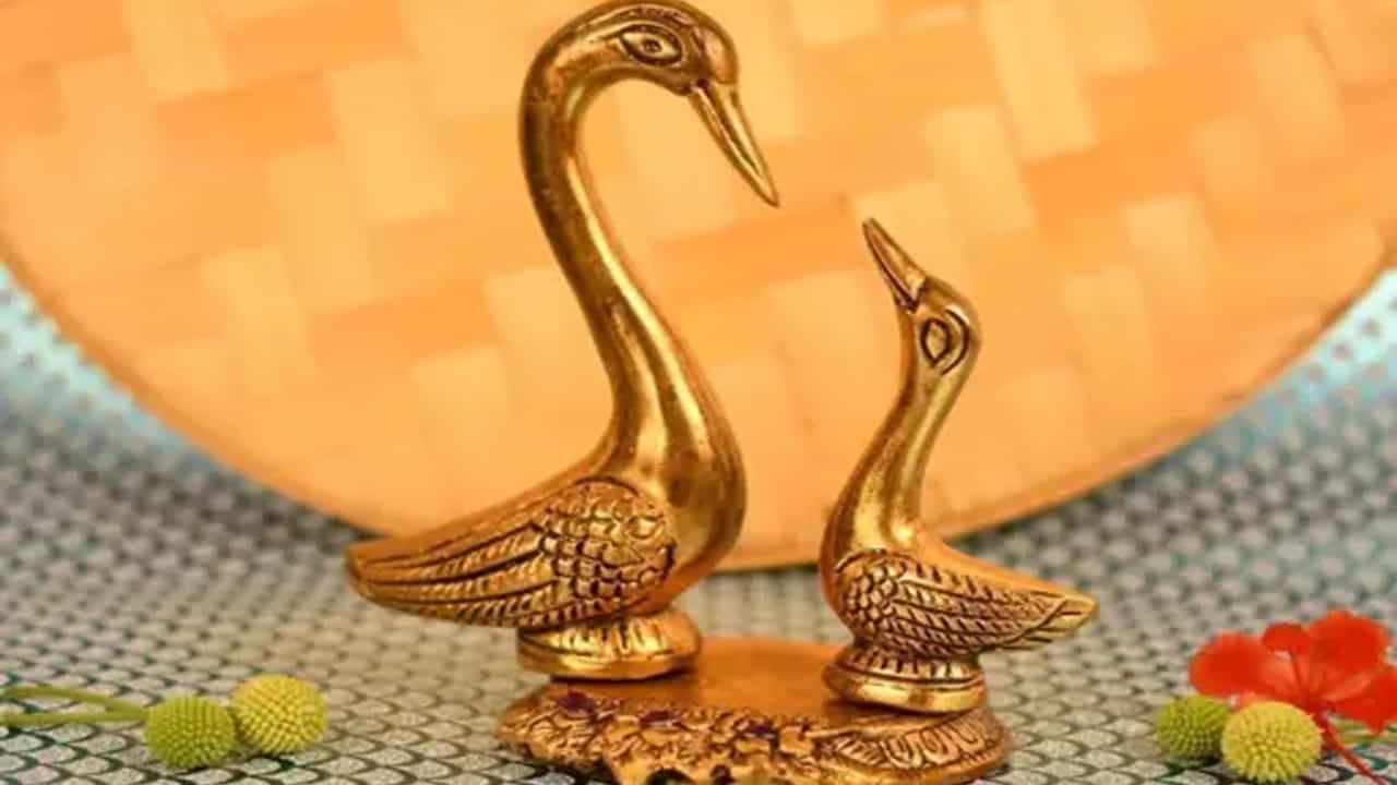 హంసల జత: వాస్తు ప్రకారం డ్రాయింగ్ రూమ్లో ఒక జత హంసల విగ్రహాన్ని ఉంచినట్లయితే.. అది మీకు ఆర్థిక ప్రయోజనాలను ఇస్తుంది. అదే సమయంలో ఇంట్లో ఒక జత హంసల విగ్రహాన్ని ఉంచడం వల్ల వాహిక జీవితం సంతోషకరంగా సాగుతుంది.