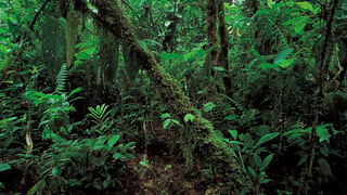 వామ్మో.! చేపల కోసం వల వేస్తే.. గాలానికి చిక్కిన పొడవాటి ఆకారం చూసి జాలరి స్టన్..