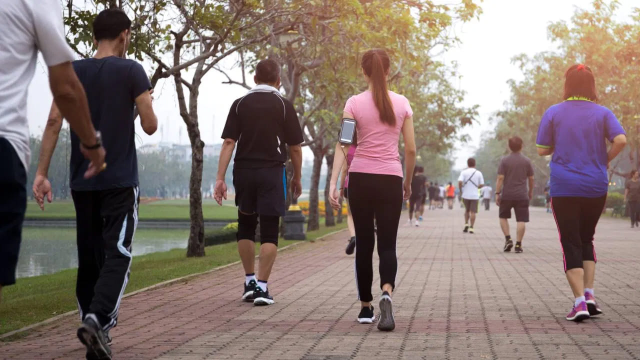 ఫిట్గా ఉండాలంటే పోషకాహారం తీసుకోవడంతోపాటు తేలికపాటి వ్యాయామం కూడా చేయాలి. డైలీ ఎక్సర్సైజ్లలో నడకకు మించిన ప్రత్యామ్నాయం లేదనే విషయం అందరికీ తెలిసిందే. బ్లడ్ ప్రెజర్ కంట్రోల్లో ఉండాలన్నా, బ్లడ్ షుగర్ కంట్రోల్లో ఉండాలన్నా, బరువు తగ్గాలన్నా.. అన్ని సమస్యలకు పరిష్కారం ఈ నడకలోనే దాగి ఉంది.