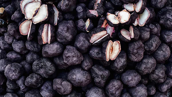 Water Chestnut Benefits: ఈ ఫ్రూట్ ఏంటో గుర్తుపట్టారా..? ఇది తింటే కలిగే ప్రయోజనాలు తప్పక తెలుసుకోండి..