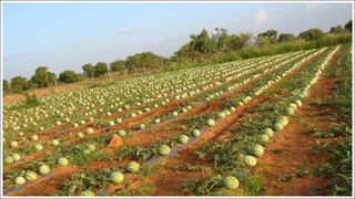 NPS Investment: ఆ పథకంలో పెట్టుబడితో రిటైర్‌మెంట్ లైఫ్ హ్యాపీ.. ఇక లెక్క పక్కా..!