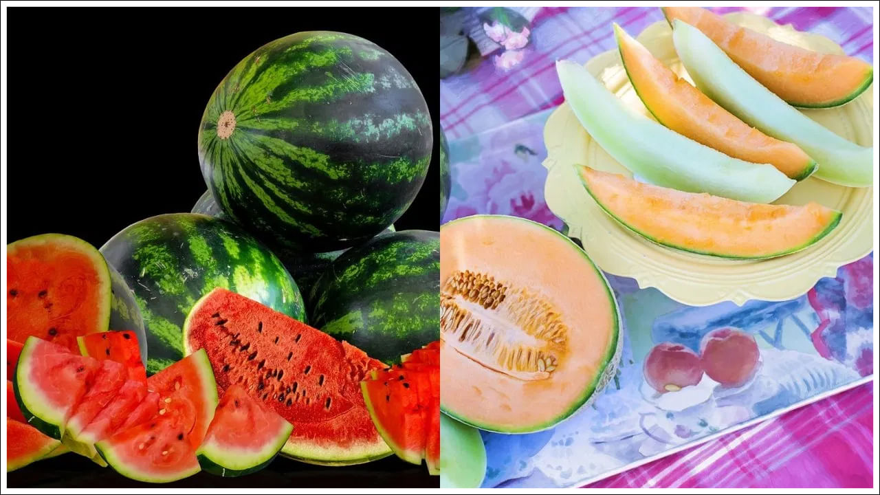 Watermelon vs Muskmelon: పుచ్చకాయ vs కర్జూజా.. వేసవిలో ఆరోగ్యానికి ఏది ఎక్కువ మేలు చేస్తుంది?