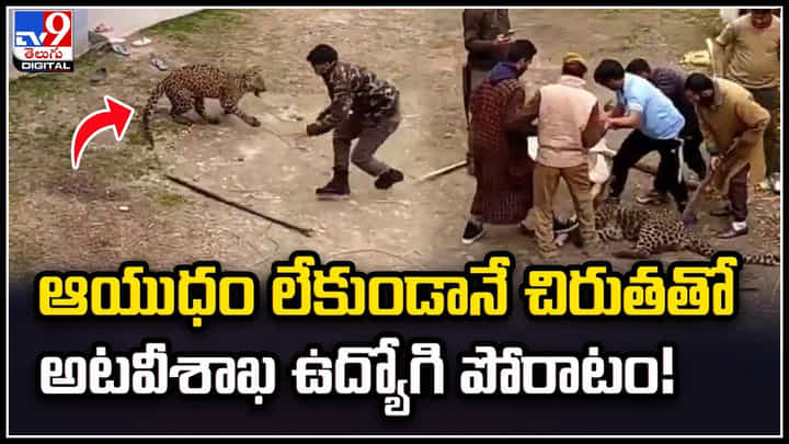 Leopard Viral Video: సాహసమంటే ఇది.! ఆయుధం లేకుండానే చిరుతతో పోరాటం.! Leopard Viral Video: సాహసమంటే ఇది.! ఆయుధం లేకుండానే చిరుతతో పోరాటం.!