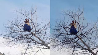 Viral: మట్టి తవ్వకాల్లో బయటపడ్డ పే..ద్ద బండరాయి.. వెలికితీయగా కళ్లు జిగేల్.!