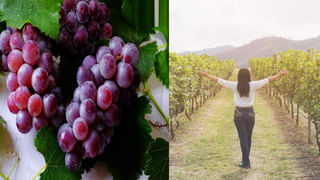 Railway Super App: రైల్వే ‘సూపర్ యాప్’ వస్తోంది.. అన్ని సౌకర్యాలు ఒకే చోట