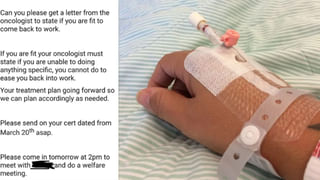 Krishna Kamalam: కృష్ణ కమలం ఎప్పుడైనా చూసారా..? ఈ పువ్వులో దాగిన అనేక రహస్యాలు..!