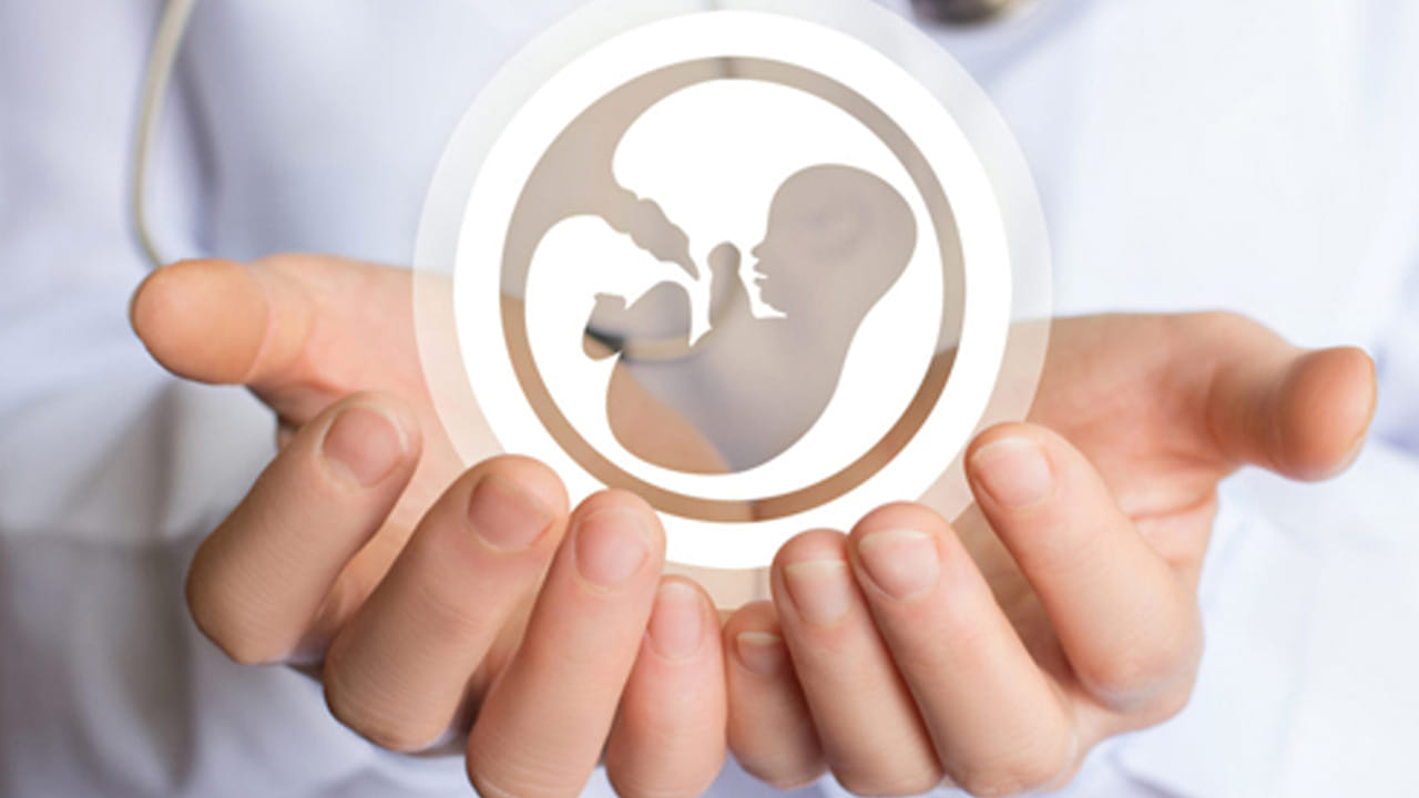 Women Pregnancy: వీటిని తింటే చాలు.. మహిళల్లో సంతాన సమస్యకు చెక్ పెట్టవచ్చు..