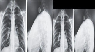 China: విండో షాపింగ్ చేసి వెళ్తున్న పర్యాటకులను బంధించిన షాప్ యజమాని .. ఎక్కడంటే..