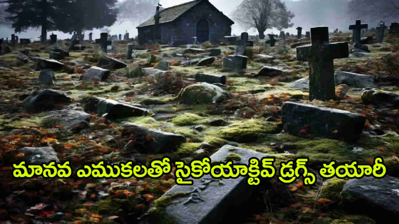 Zombie Drug: మానవ ఎముకలతో డ్రగ్స్‌ తయారీ.. సమాధులను తవ్వి శవాలను దొంగిలిస్తున్న ముఠా!