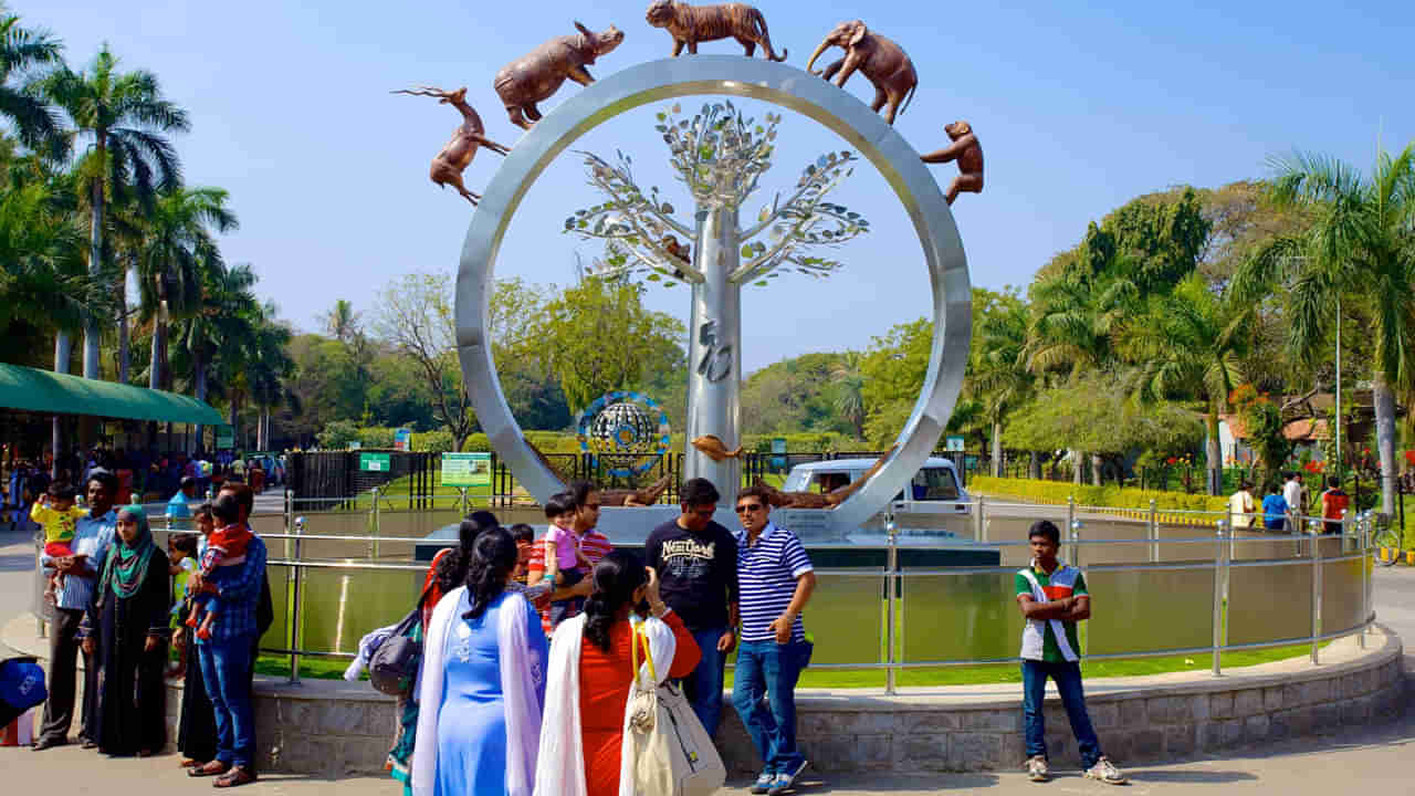 Watch Video: హైదరాబాద్ జూ పార్క్లో జంతువులకు ప్రత్యేక ఏర్పాట్లు.. సందర్శకుల టికెట్ ధర ఎంతంటే..