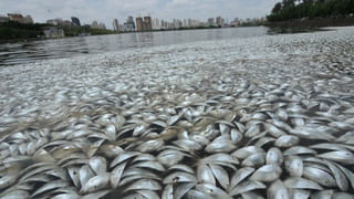 KTR: బీఆర్ఎస్, బీజేపీ మధ్యే పోటీ.. కేసీఆర్ రాజకీయాలను శాసించే రోజులు మళ్లీ వస్తాయి.. కేటీఆర్ సంచలన వ్యాఖ్యలు..