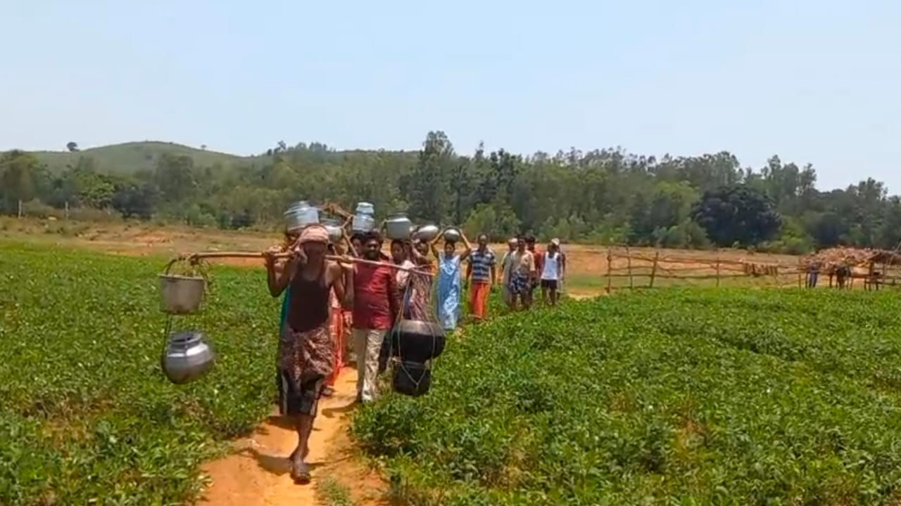 దీంతో ఇక చేసేది లేక కిలోమీటర్ దూరం ఉన్న వాగులకు క్యూ కడుతున్నారు అడవి బిడ్డలు. సూర్యోదయాన్ని బయలుదేరి వాగులో ఉన్న ఆ బురద నీటినే తమ అవసరాలకు వినియోగించుకుంటున్నారు. ఆ నీటితోనే గొంతు తడుపుకొని దాహం తీర్చుకుంటున్నారు. వాగులో నీటి కుంటలు తవ్వుకుంటూ.. గిరిజనులు ఒకరికొకరు సహాయం చేసుకుంటున్నారు.