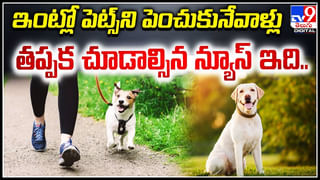 Uber Driver: ఛీ.. ఇదేం పాడుపని.. మహిళా కారులో ఉండగానే డ్రైవర్‌ గలీజు పని..