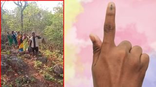 Bear Viral Video: ఎలుగుబంట్లు చకచకా చెట్టు ఎక్కడం చూశారా.? వీడియో వైరల్..