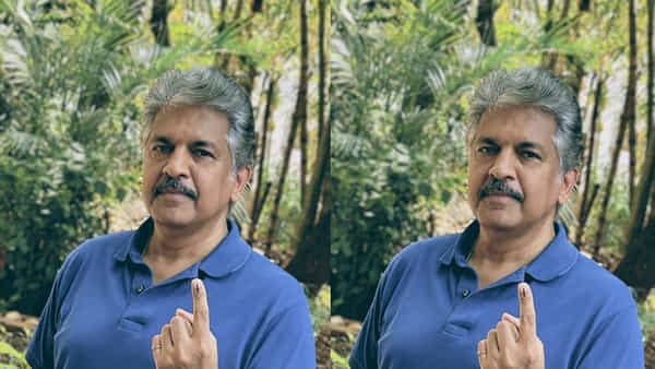 2024 Elections: పిక్చర్ ఆఫ్ది డే..! ఆనంద్ మహీంద్రా షేర్ చేసిన ఫోటోకు నెటిజన్ల రియాక్షన్..