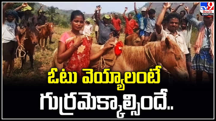 Viral: ఓటు వెయ్యాలంటే గుర్రమెక్కాల్సిందే.! గిరిజనుల వినూత్న నిరసన. Viral: ఓటు వెయ్యాలంటే గుర్రమెక్కాల్సిందే.! గిరిజనుల వినూత్న నిరసన.