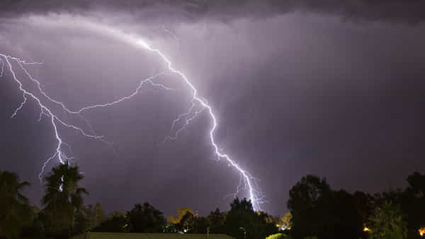 AP Weather: ఆహా.. ఏపీలో వచ్చే 5 రోజులు జోరు వర్షాలు.. ఇదిగో వెదర్ రిపోర్ట్..