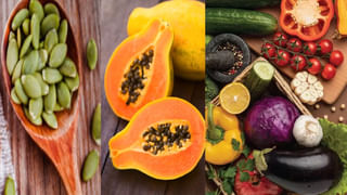 Plastic Box: మీరు కూడా ప్లాస్టిక్ బాక్సులోనే ఆహారం తీసుకెళ్తున్నారా.. ఎంత ప్రమాదమో తెలుసా..?