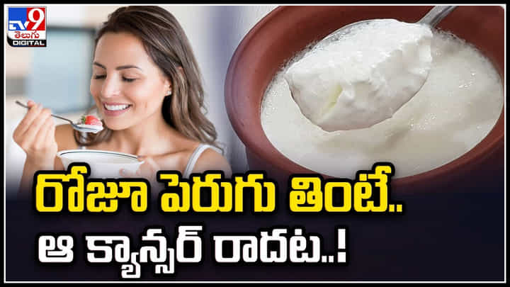Curd: పెరుగుతో కాన్సర్కు చెక్.. 14 లక్షలమందిపై పరిశోధనలు. Curd: పెరుగుతో కాన్సర్కు చెక్.. 14 లక్షలమందిపై పరిశోధనలు.