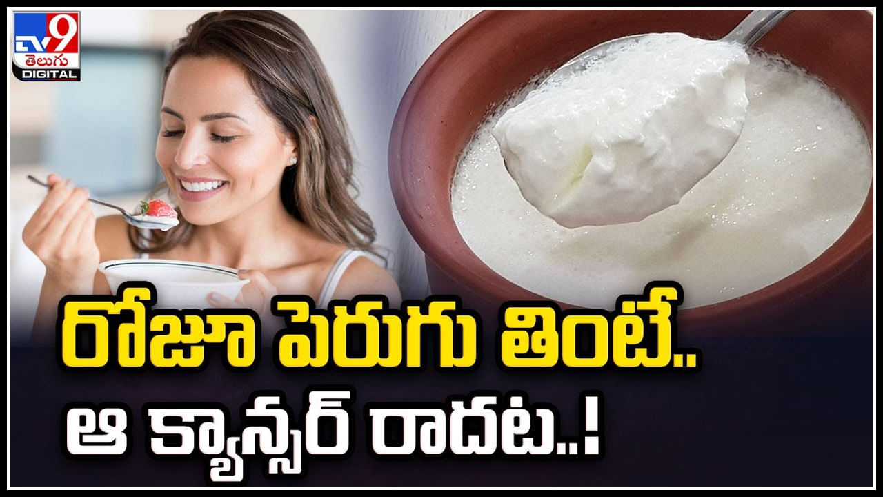 Curd: పెరుగుతో కాన్సర్‌కు చెక్‌.. 14 లక్షలమందిపై పరిశోధనలు.