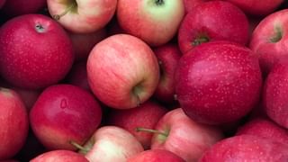 Glue Berry: డయాబెటీస్‌తో పాటు వందల సమస్యలకు చెక్ పెట్టే.. గ్లూబెర్రీ పండ్లు..