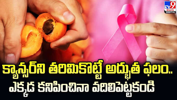 క్యాన్సర్ని తరిమికొట్టే అద్భుత ఫలం.. ఎక్కడ కనిపించినా వదిలిపెట్టకండి క్యాన్సర్ని తరిమికొట్టే అద్భుత ఫలం.. ఎక్కడ కనిపించినా వదిలిపెట్టకండి