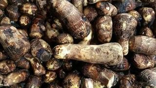 Health: మీకు ఈ ఆరోగ్య సమస్యలు ఉన్నాయా..? అయితే చెరుకురసం తాగొద్దు