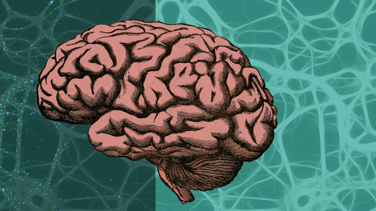 ఉదయం లేచింది మొదలు.. పడుకునే వరకూ అనేక పనులు ఉంటాయి. ఈ క్రమంలో బ్రెయిన్‌పై ఒత్తిడి అనేది ఎక్కువగా పడుతుంది. ఇలా క్రమంగా మెదడు మొద్దుబారిపోయి.. చురుగ్గా ఉండదు. ఏకాగ్రత కూడా కుదరదు. కానీ కొన్ని పనులను మీరు తరచూ చేస్తూ ఉంటే మాత్రం.. మీ బ్రెయిన్ యాక్టీవ్‌గా మారడమే కాకుండా పవర్ ఫుల్‌గా పని చేస్తుంది.
