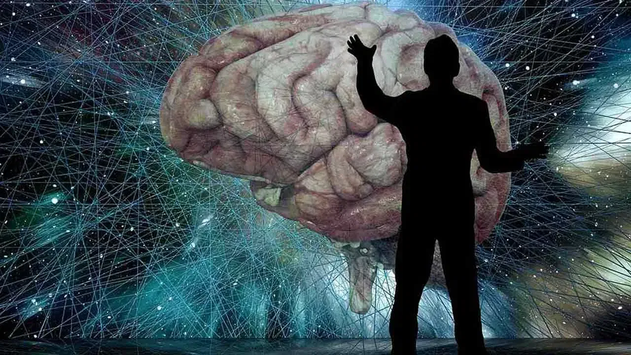 కనీసం ఈ కింది ఫుడ్స్ అయినా పిల్లలు తినేలా చూసుకోండి. వారికి నచ్చిన స్టైల్లో కుక్ చేసి ఇవ్వండి. వీటిని కనుక పిల్లలు తింటే.. వారి బ్రెయిన్ కంప్యూటర్ కంటే షార్ప్గా పని చేస్తుంది. మరి అవేంటో ఇప్పుడు చూద్దాం.