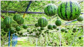 PF Account: మీ పీఎఫ్‌ అకౌంట్‌ను తనిఖీ చేశారా? లేకుంటే ఆ ప్రయోజనం పొందలేరు.. అదేంటంటే..