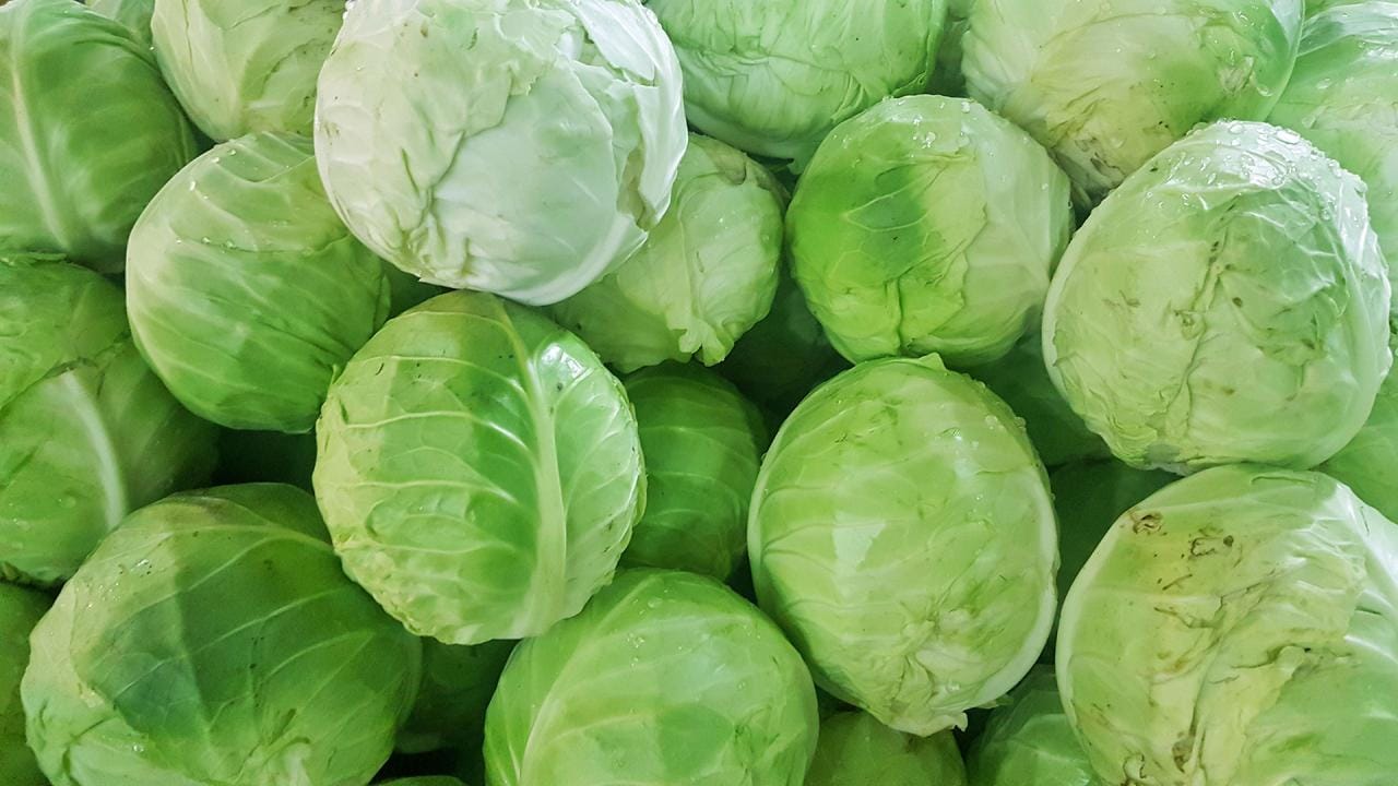 క్యాబేజీ గురించి ప్రత్యేకంగా పరిచయాలు అవసరం లేదు. క్రూసిఫెరోస్ అనే జాతికి చెందిన వాటిల్లో క్యాబేజీ కూడా ఒకటి. ఇందులో విటమిన్లు, మినరల్స్, యాంటీ ఆక్సిడెంట్లు, ఖనిజాలు పుష్కలంగా లభిస్తాయి. వారంలో ఒక్కసారైనా క్యాబేజీ తింటే.. రోగాలు దరిచేరవని పోషకాహార నిపుణులు అంటున్నారు
