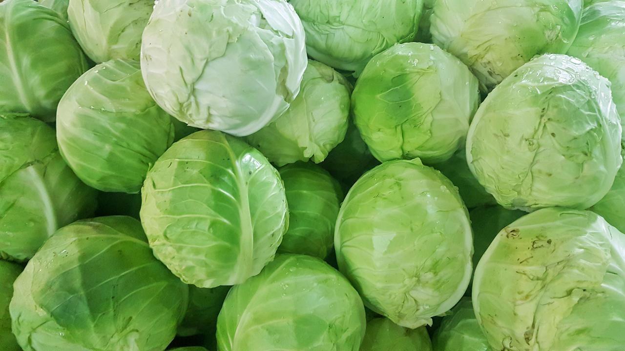 క్యాబేజీ గురించి ప్రత్యేకంగా పరిచయాలు అవసరం లేదు. క్రూసిఫెరోస్ అనే జాతికి చెందిన వాటిల్లో క్యాబేజీ కూడా ఒకటి. ఇందులో విటమిన్లు, మినరల్స్, యాంటీ ఆక్సిడెంట్లు, ఖనిజాలు పుష్కలంగా లభిస్తాయి. వారంలో ఒక్కసారైనా క్యాబేజీ తింటే.. రోగాలు దరిచేరవని పోషకాహార నిపుణులు అంటున్నారు
