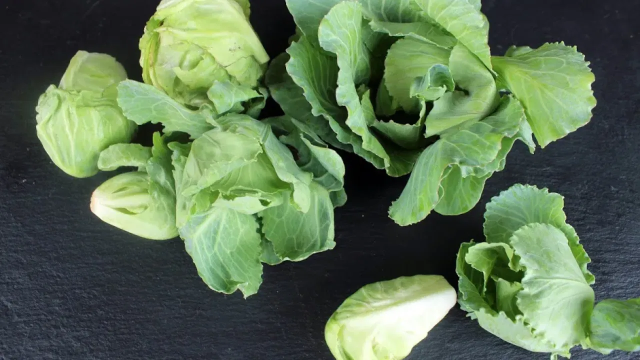 మీ చర్మ, జుట్టు సమస్యలు కూడా తగ్గుతాయి. క్యాబేజీని పిల్లలకు పెట్టడం వల్ల వారి ఎదుగుదలలో తోడ్పడుతుంది. ఒత్తిడి, ఆందోళన అనేవి దరి చేరకుండా ఉంటాయి. కాలేయం, ఊపిరి తిత్తుల ఆరోగ్యం కూడా మెరుగు పడుతుంది.
