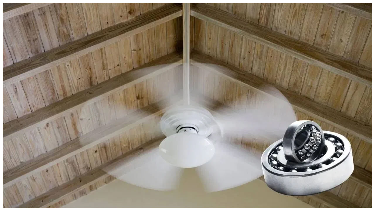 Ceiling Fan 