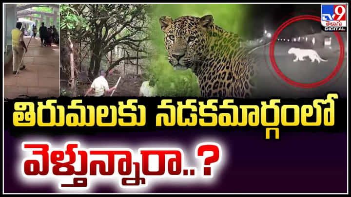 Tirumala: తిరుమల నడకమార్గంలో మళ్లీ భయం భయం.. ఇలా ఎంతకాలం..? Tirumala: తిరుమల నడకమార్గంలో మళ్లీ భయం భయం.. ఇలా ఎంతకాలం..?