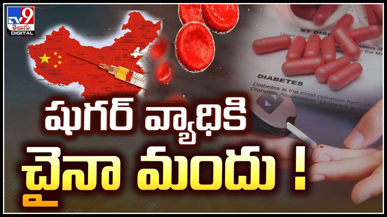 Diabetes Treatment: షుగర్ వ్యాధికి చైనా మందుతో చెక్.. తక్కువ టైంలోనే..