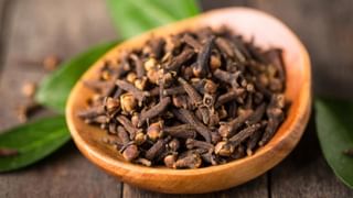 Summer Tips for Diabetes: సమ్మర్‌లో షుగర్ లెవెల్స్‌ అదుపులో ఉంచే దివ్యాస్త్రాలు.. ఈ 5 జాగ్రత్తలు తప్పనిసరి!