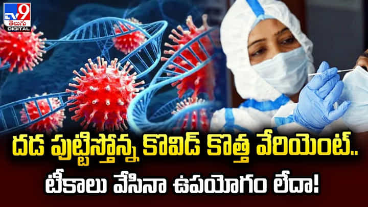 దడ పుట్టిస్తోన్న కొవిడ్ కొత్త వేరియెంట్.. టీకాలు వేసినా ఉపయోగం లేదా దడ పుట్టిస్తోన్న కొవిడ్ కొత్త వేరియెంట్.. టీకాలు వేసినా ఉపయోగం లేదా